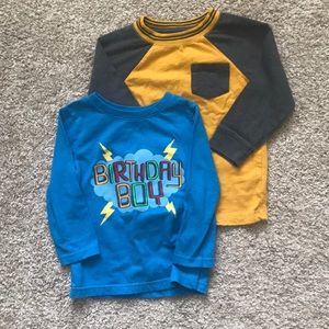 Cat & Jack Long sleeve shirts (2t)